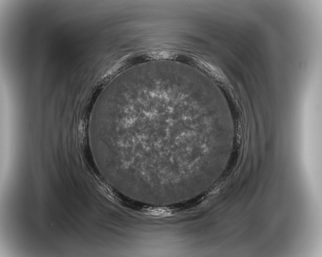 X0000085070409200703191306