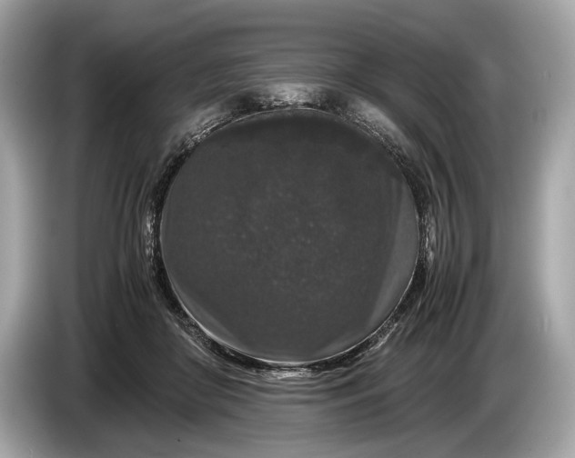 X0000085070410200703191306