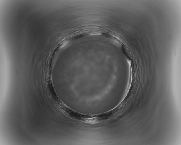 X0000085070411200703191306