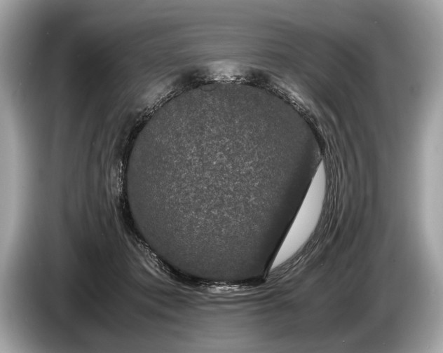 X0000085070413200703191306