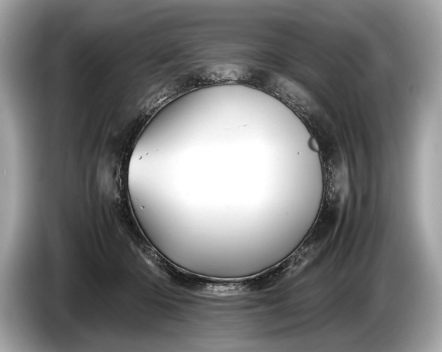 X0000085070414200703191306