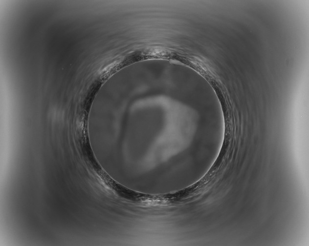 X0000085070415200703191306