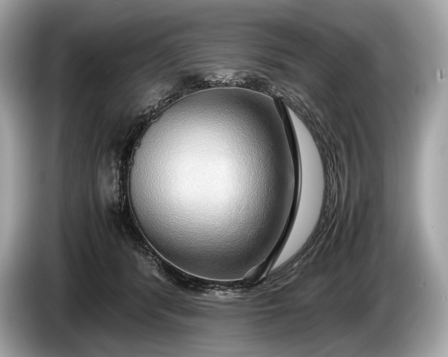 X0000085070416200703191306