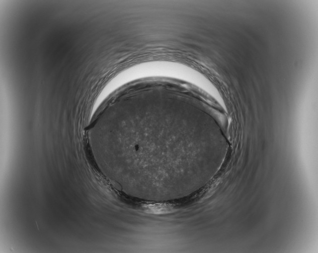 X0000085070417200703191306