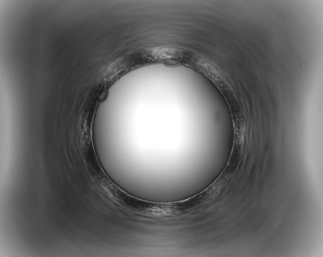 X0000085070418200703191306