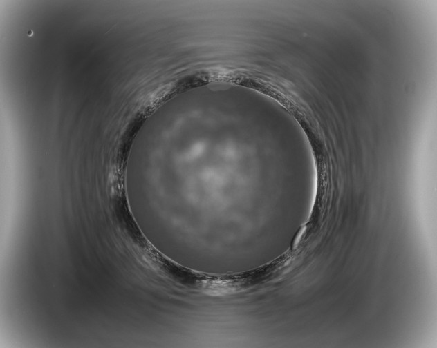 X0000085070419200703191306