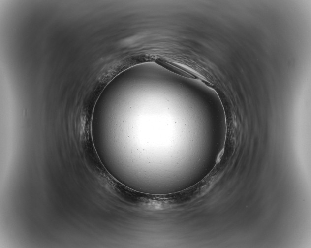 X0000085070420200703191306