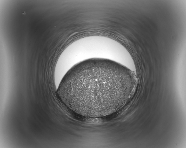 X0000085070421200703191306