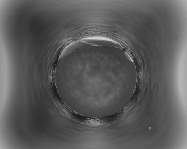 X0000085070423200703191306