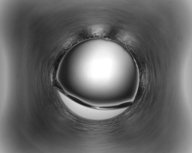 X0000085070424200703191306