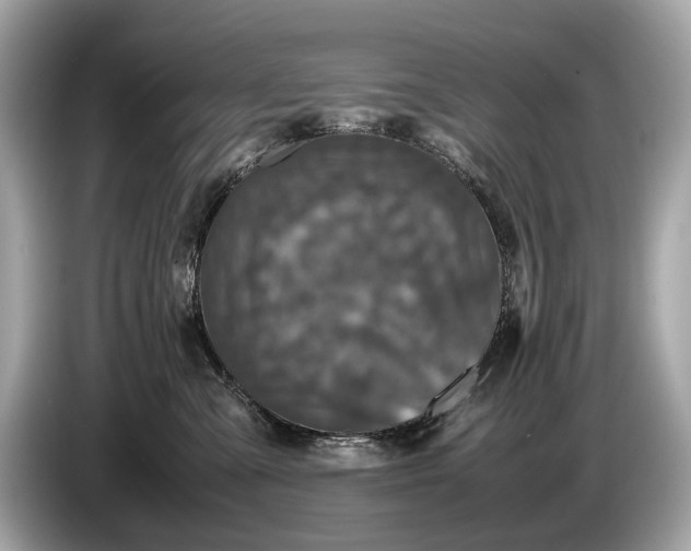 X0000085070427200703191306