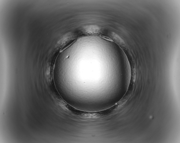 X0000085070428200703191306