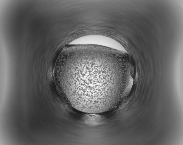 X0000085070429200703191306