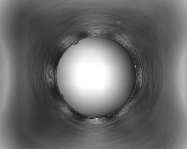 X0000085070430200703191305