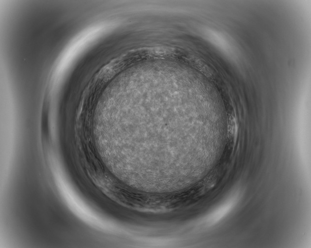 X0000085070431200703191305