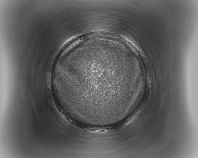 X0000085070434200703191305