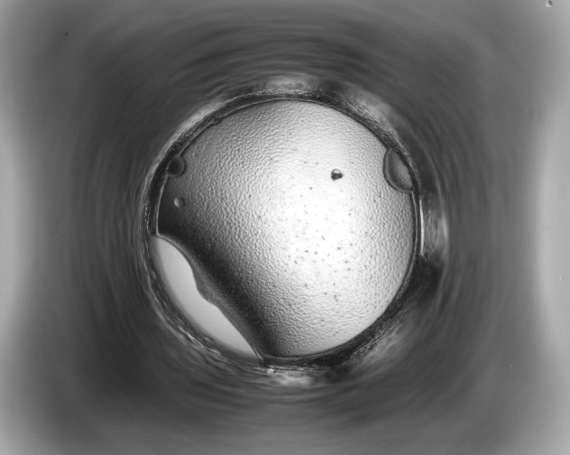 X0000085070435200703191305