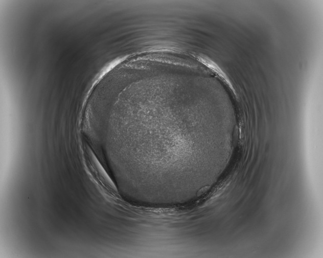 X0000085070436200703191305