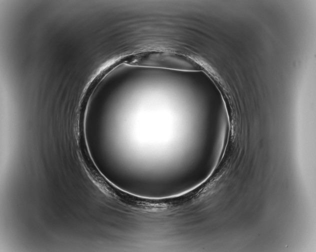 X0000085070438200703191305