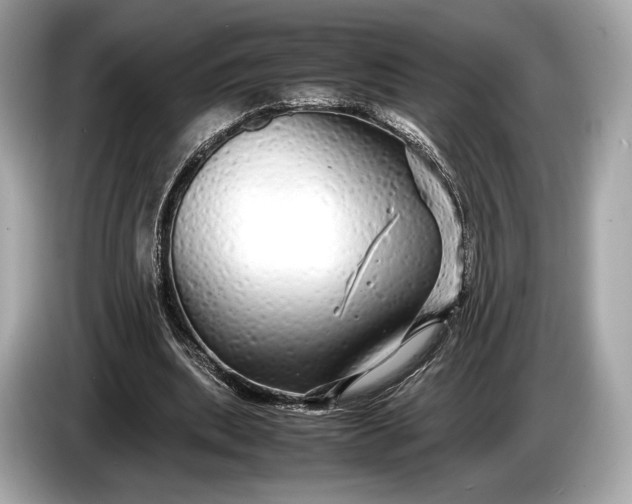 X0000085070439200703191305