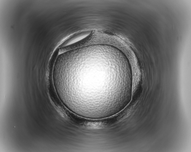 X0000085070440200703191305