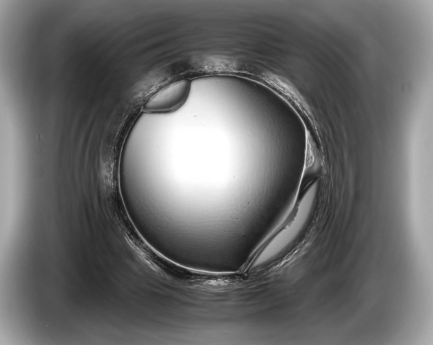 X0000085070441200703191305