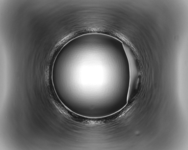 X0000085070442200703191305