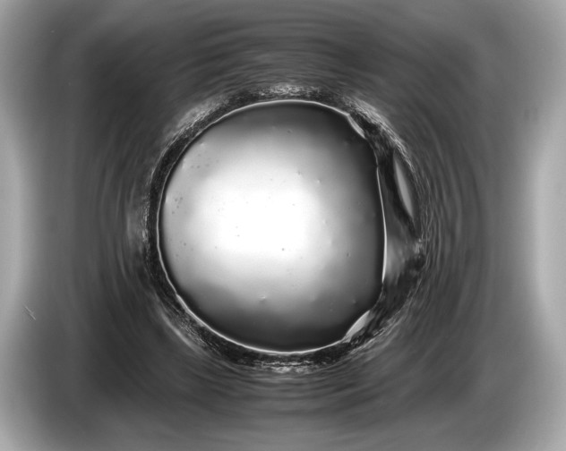 X0000085070443200703191305