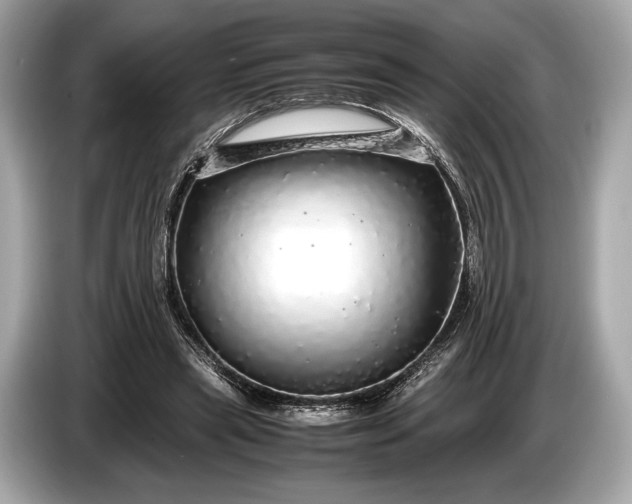 X0000085070445200703191305