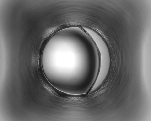 X0000085070446200703191305