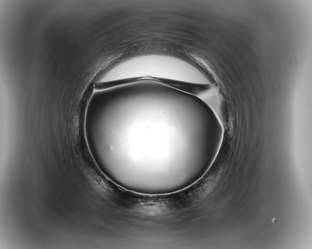 X0000085070447200703191305