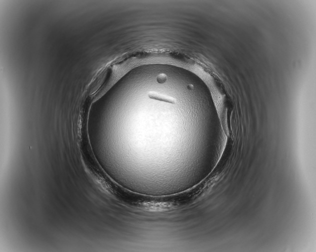 X0000085070448200703191305