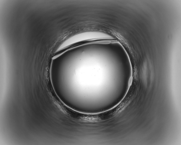 X0000085070449200703191305