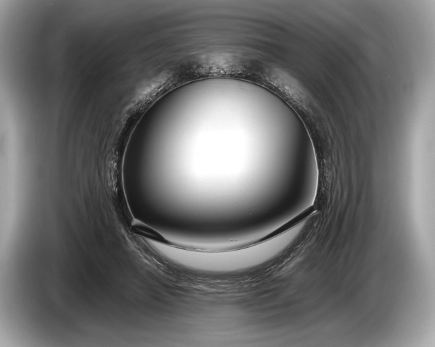 X0000085070450200703191305