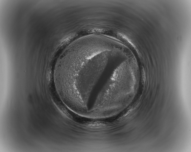 X0000085070451200703191305