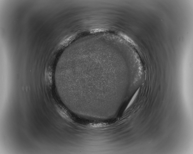 X0000085070452200703191305