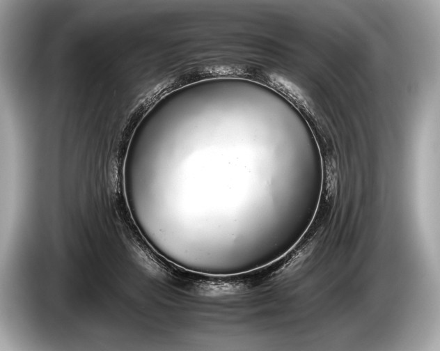 X0000085070453200703191305