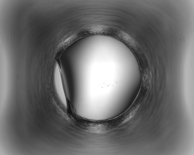 X0000085070454200703191305