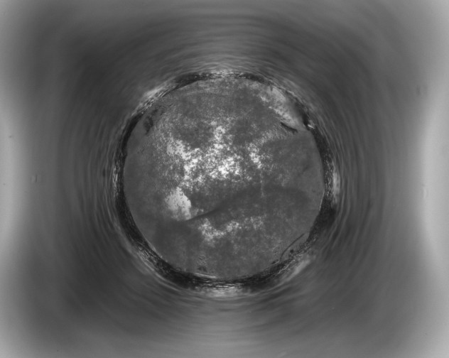 X0000085070456200703191305