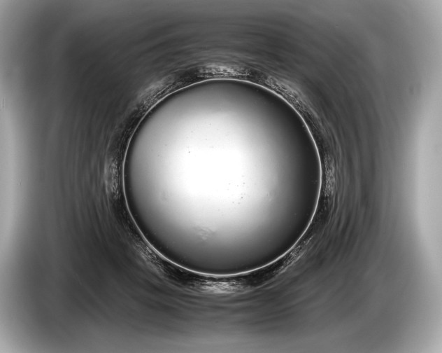 X0000085070457200703191305