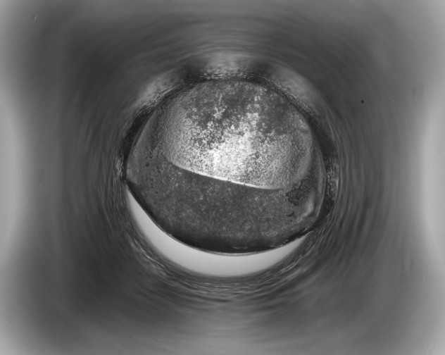 X0000085070458200703191305