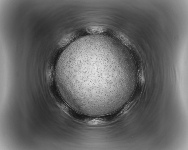 X0000085070460200703191305