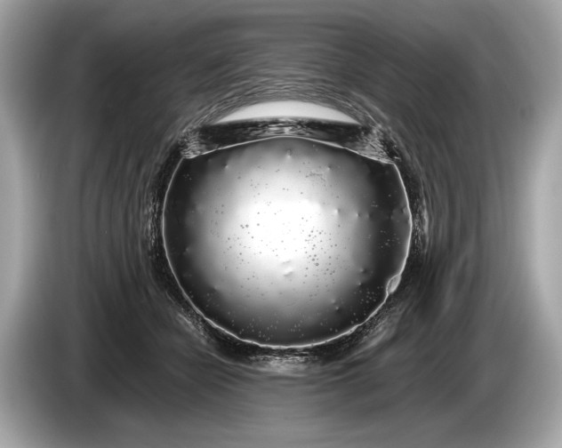 X0000085070462200703191305