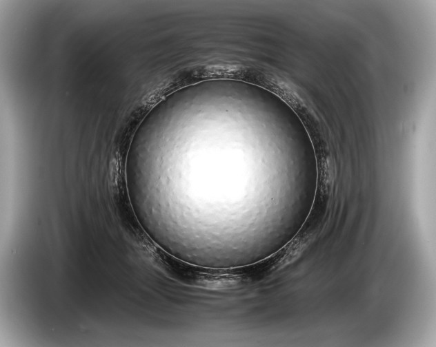 X0000085070463200703191305