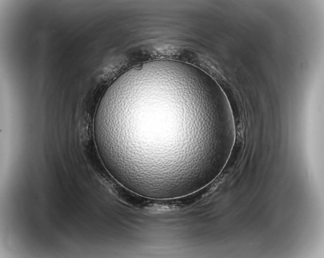 X0000085070464200703191305