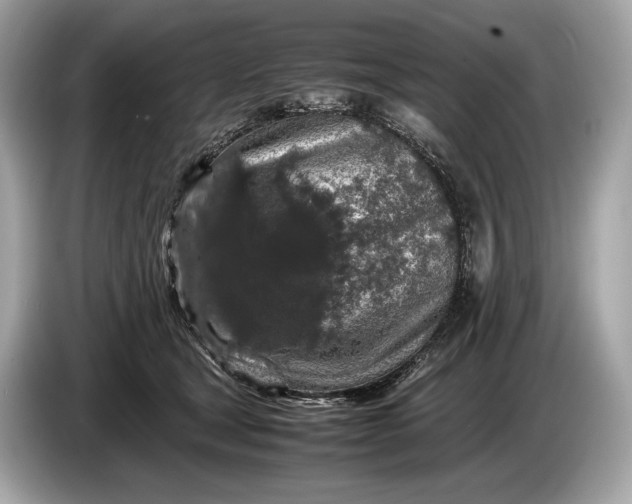 X0000085070465200703191305