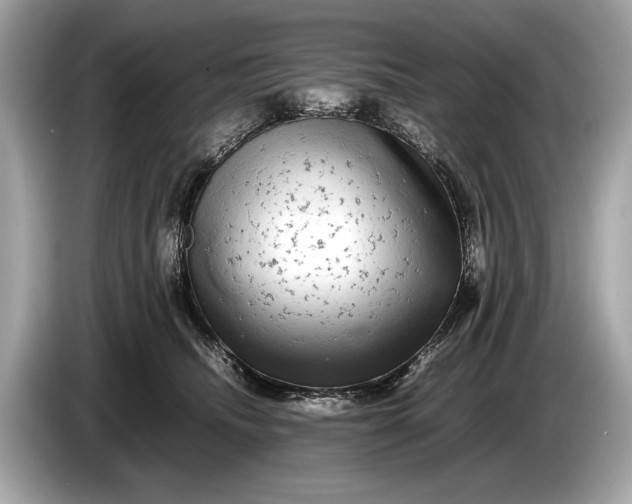 X0000085070468200703191305