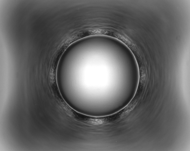 X0000085070469200703191305