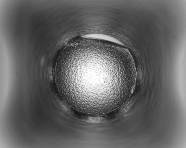 X0000085070470200703191305