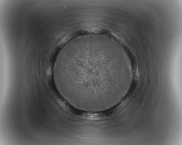 X0000085070472200703191305